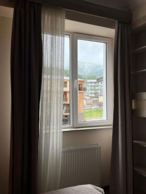 Studio apartment Bakuriani